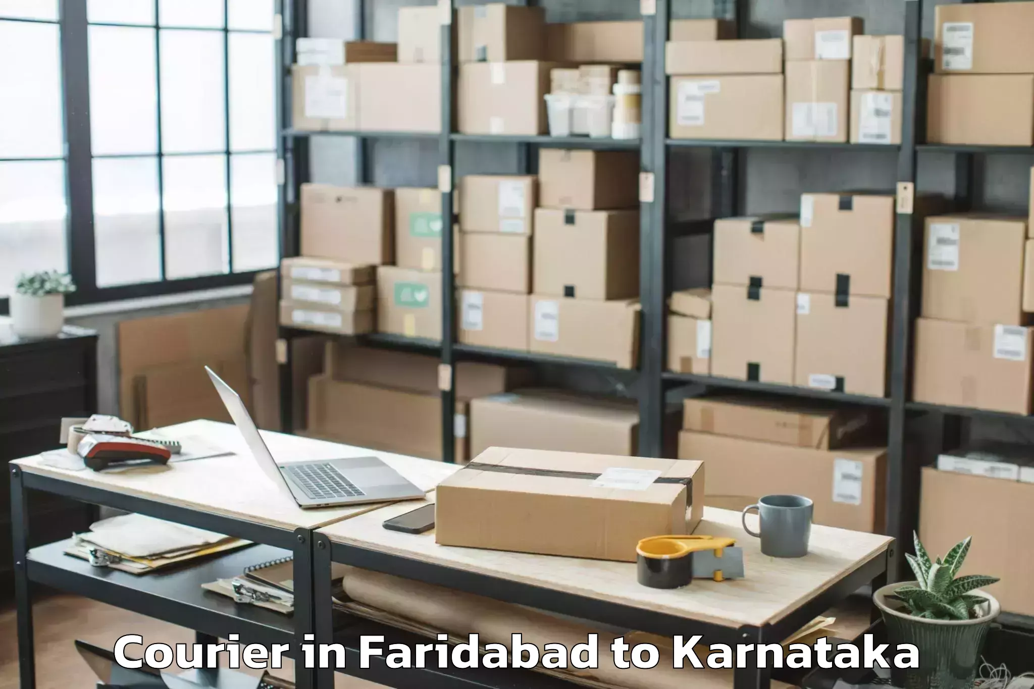 Professional Faridabad to Guledagudda Courier